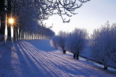 24578 Winter Wallpapers