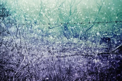 Free Desktop Wallpapers