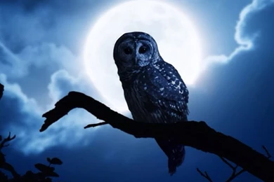 iPhone Wallpapers On Pinterest