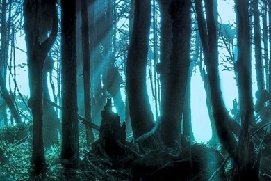 Halloween : Happy Halloween Wallpapers