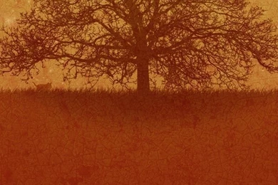 Gallery For   Scary Iphone Wallpapers