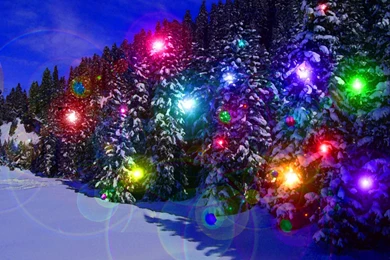 Christmas Lights Wallpapers ~ Toptenpack.com