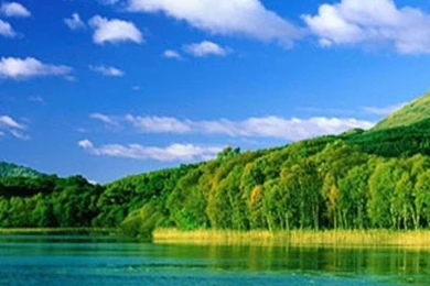 Gallery For   Nature Wallpapers For Iphone