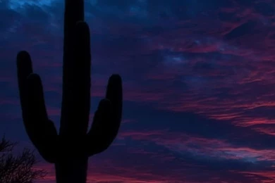 iPhone 5S, 5C, 5 Nature Wallpapers, Desktop Backgrounds HD