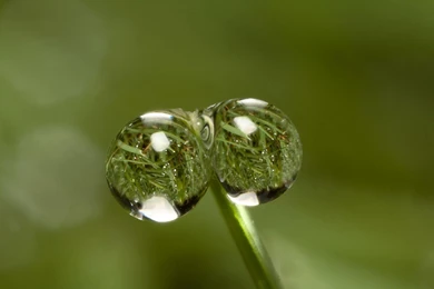 Aj Lee Latest Desktop Wallpapers Wwe Wallpapers Latest Desktops ...