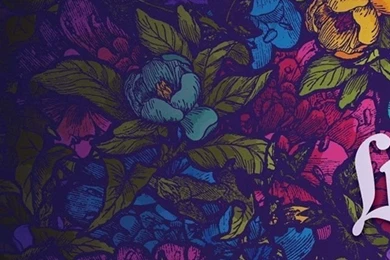 Gallery For   Floral Wallpapers Iphone