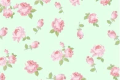 Pink Floral Iphone Wallpapers