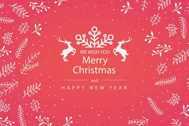 Download Merry Christmas Floral HD Wallpapers For iPhone 6 Plus ...