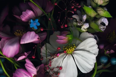 25 HD Retina Wallpapers Collection Of iPhone 6 Plus