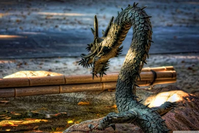 Free HD S Wallpapers