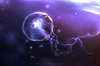 Gallery For   Free Desktop Wallpapers Jellyfish