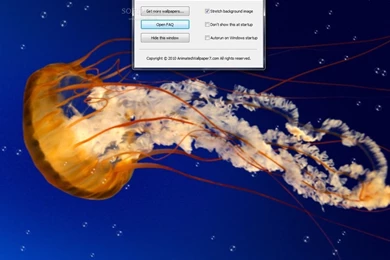 Jelly Fish Animated Wallpapers Download