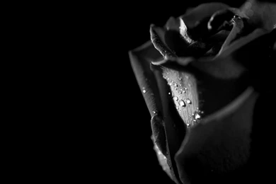 Dark Desktop Wallpapers