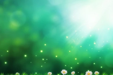 1280x1024 Daisies Green Backgrounds Wallpapers