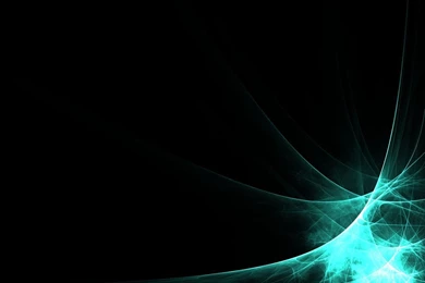 Naruto Shippuden Rock Lee Wallpapers   (