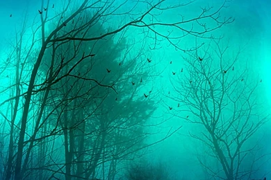 Autumn Desktop Backgrounds Wallpapers 95157