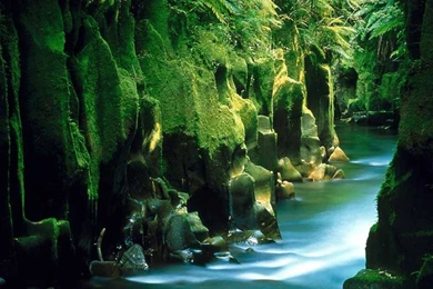 Landscape Wallpapers