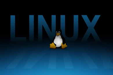 Gallery For   Cool Linux Wallpapers
