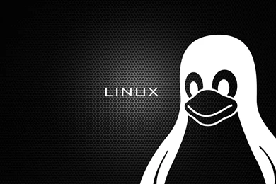 Download Linux Wallpapers Picture