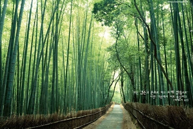 Christian Wallpapers With Bible Verses 1024x768 NO.14 Desktop ...