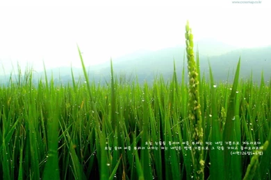 Christian Wallpapers With Bible Verses 1024x768 NO.7 Desktop ...