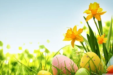 Happy Easter 2014 HD Desktop Wallpapers : High Definition ...