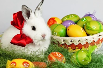 Happy Easter hd wallpaper.jpg