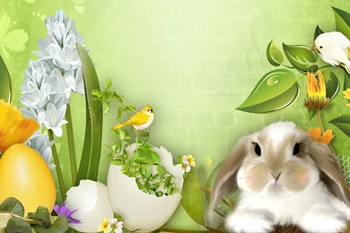 Gallery For   Easter Wallpapers Hd Widescreen