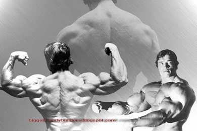 Biggest Body Builders: Arnold Schwarzenegger Wallpapers Hd