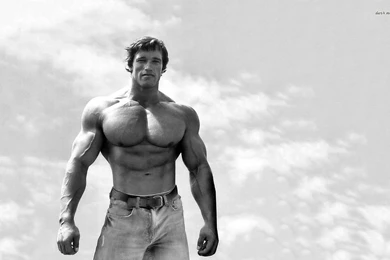 Arnold Schwarzenegger Wallpapers   Male Celebrity Wallpapers