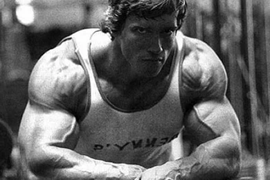 Arnold Schwarzenegger Desktop Wallpaper.jpg