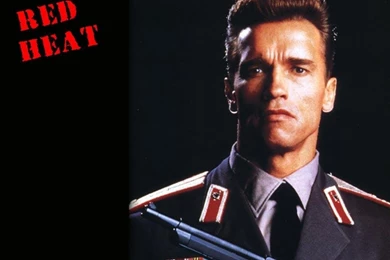 Arnold Schwarenegger Wallpapers   Arnold Schwarzenegger Wallpapers ...