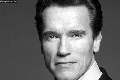 Arnold Schwarzenegger Arnold 1920x1080 Wallpapers
