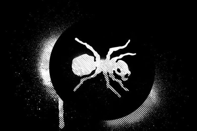 THE PRODIGY On Behance