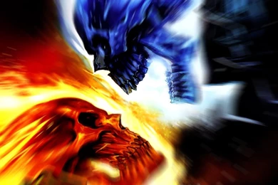 Blue Skull Wallpapers   Widescreen HD Wallpapers