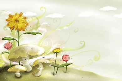 Abstract Flower Wallpapers   653946