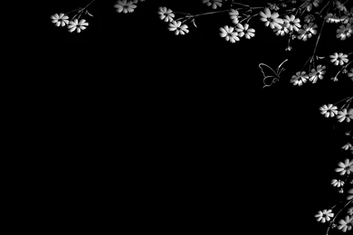 Black And White Flowers Wallpapers HD