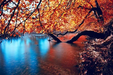 Beautiful Autumn Wallpapers Barbaras Hd Wallpapers