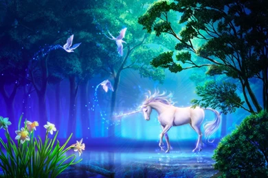 Art Unicorn Horse Birds Lake Forest Flowers Daffodils Wallpapers ...