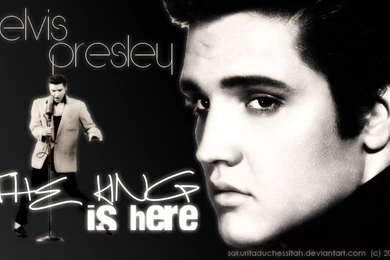 Elvis Presley Wallpapers By SakuritaDuchessitah On DeviantArt