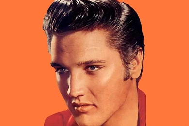 Elvis presley 8001.jpg