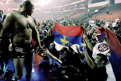 Gallery For   Fedor Wallpapers