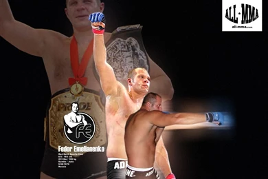 Gallery For   Fedor Wallpapers