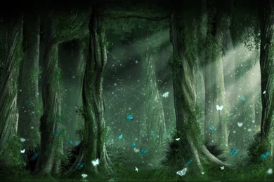 Dark Forest Backgrounds