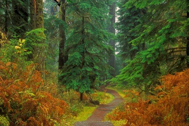 Nature Images HD Wallpapers 1879