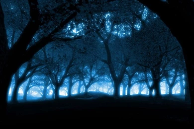 Midnight Blue Wallpapers   All Wallpapers New