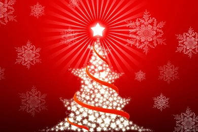 Download 1600x900 Christmas Tree Made Of Stars 2 Wallpapers