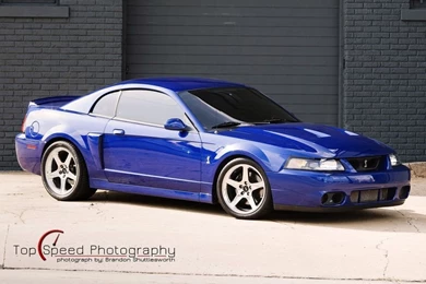 Gallery For   Svt Mustang Cobra Wallpapers