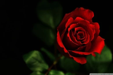 Full Screen Wallpapers For Mobile   HD Wallpapers And Pictures