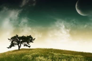 Full HD Wallpapers + Nature, Trees, Green